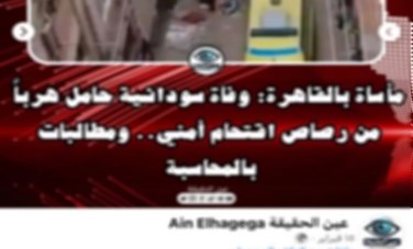حقيقة مقتل زينب السودانية