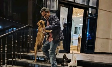 مشهد دافئ.. صداقة بين رجل وكلاب الشارع