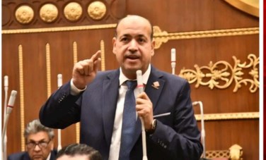 النائب أحمد سيد