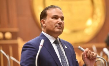تامر عبد الحميد، عضو مجلس الشيوخ