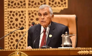 المستشار عصام فريد