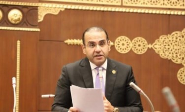 المهندس محمد المنزلاوى عضو مجلس الشيوخ