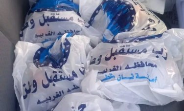 مستقبل وطن 