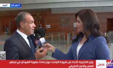 وزير الخارجية والتعاون الدولي والمصريين بالخارج