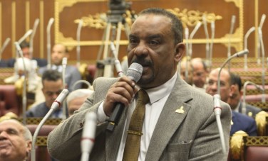 احمد حافظ 