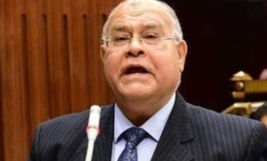 النائب ناجى الشهابى