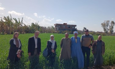 متابعة المحاصيل الاستراتيجية 
