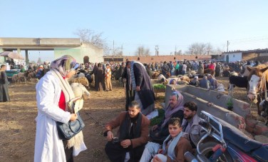 جانب من الندوات البيطرية لوزارة الزراعة
