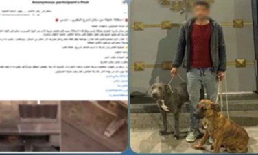 ضبط المتهم