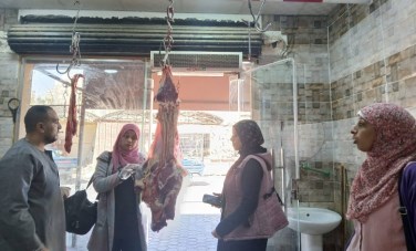 حملة الوحدة المحلية لمدينة سفاجا 