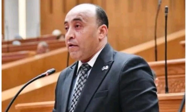 النائب حسام حسن