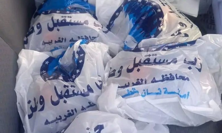 مستقبل وطن 