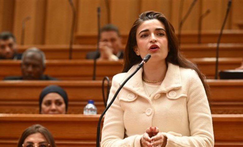 النائبة إيرين سعيد، عضو مجلس النواب،