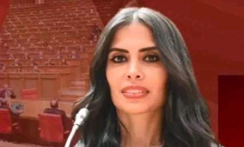 هايدى المغازى 