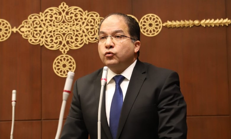 النائب عادل المعى