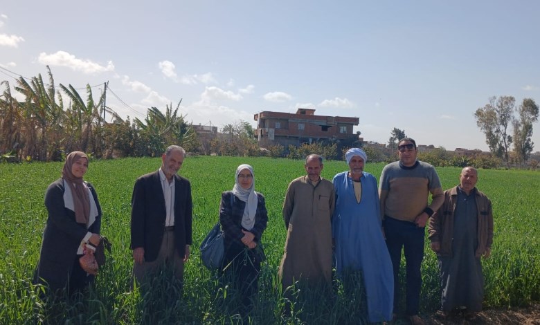 متابعة المحاصيل الاستراتيجية 