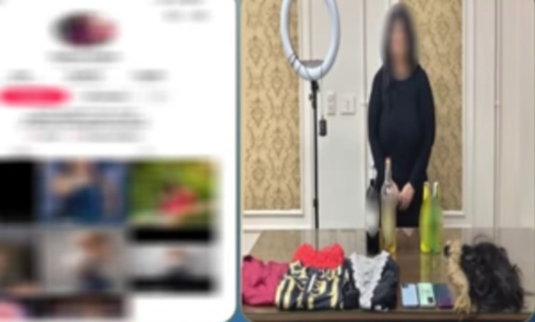 صانعة محتوى 