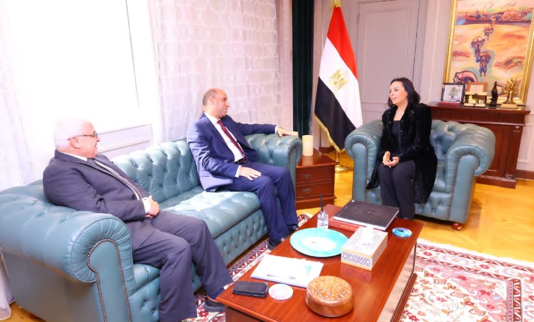 التضامن الاجتماعي