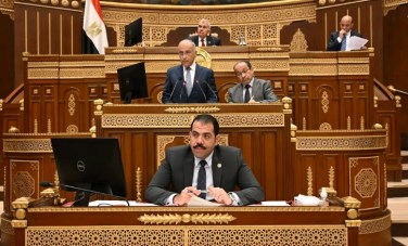 مجلس الشيوخ 