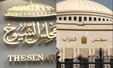 مجلسي النواب والشيوخ 