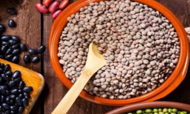 اسعار البقوليات 