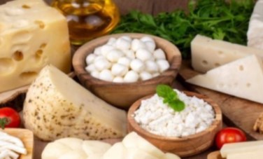 أسعار الألبان ومشتقاتها 