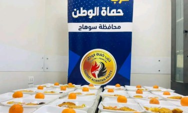 حزب حماة الوطن