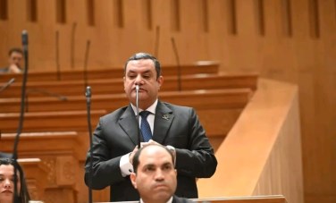 نائب التنسيقية