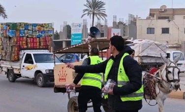 مستقبل وطن 