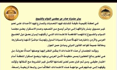 النائب عصام هلال عفيفى