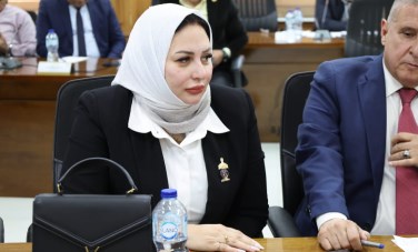 مجلس الشيوخ 