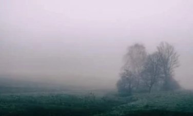 تأثير المناخ على الزراعة