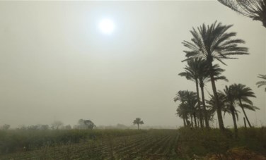 الحقول الزراعية