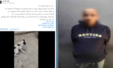 المتهم