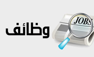 توفير 360 فرصة عمل جديدة للشباب