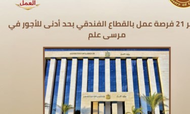 نشاط مديريات العمل بالمحافظات