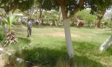 الحديقة الدولية بقرية بني غالب