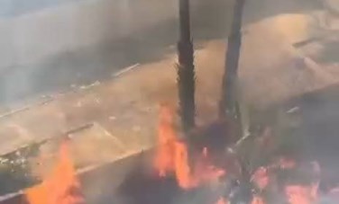 اندلاع حريق في عدد من النخيل والأشجار 