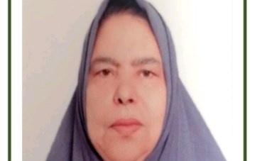 الأم المثالية 