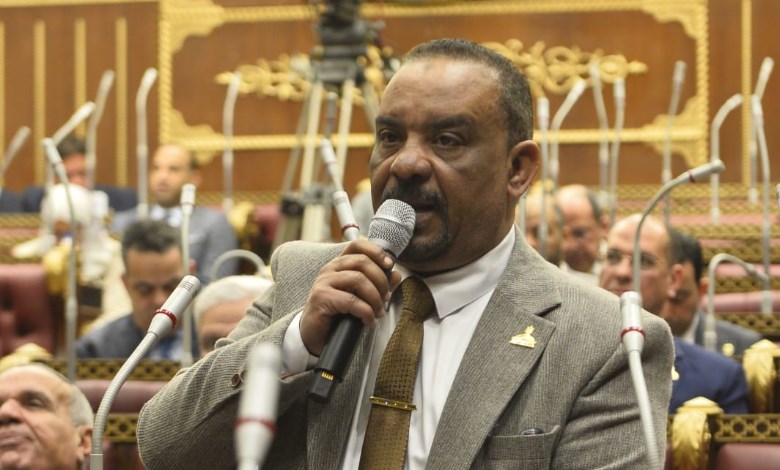 النائب أحمد حافظ 