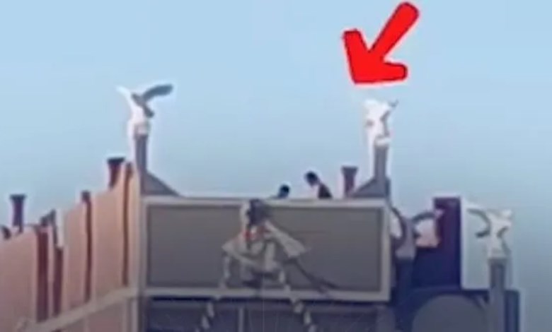 جزء من الواقعة