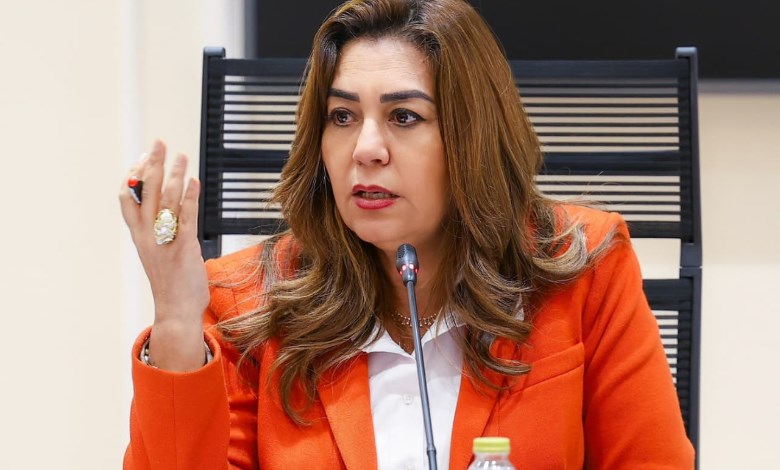 الدكتورة منال عوض وزيرة التنمية المحلية و البيئة 