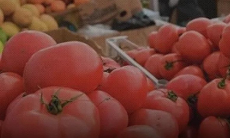 ارتفاع أسعار الطماطم في مصر