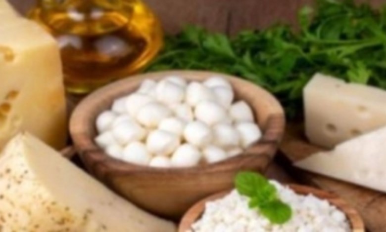أسعار الألبان اليوم