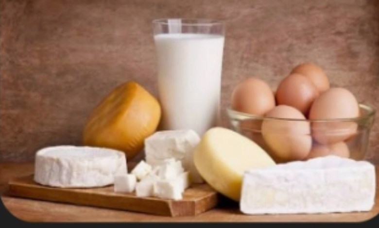 اسعار الألبان ومنتجاتها 