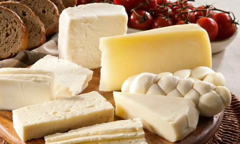 اسعار الألبان ومنتجاتها 