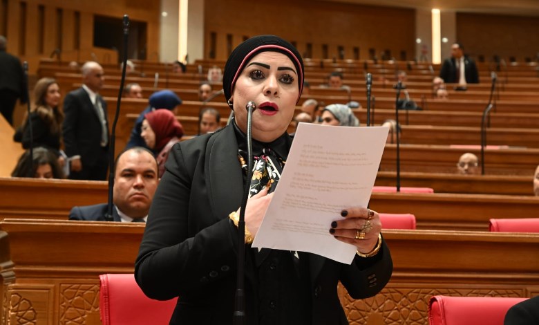 النائبة جيهان شاهين 