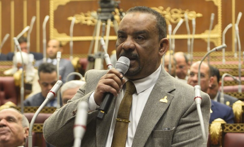 احمد حافظ 