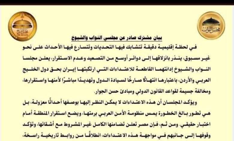 النائب عصام هلال عفيفى