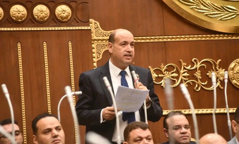 النائب أحمد سيد